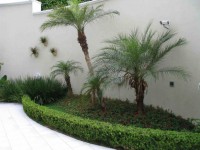 JARDINAGEM EXECUTAMOS JARDIM COM PLANTAS GRAMA  